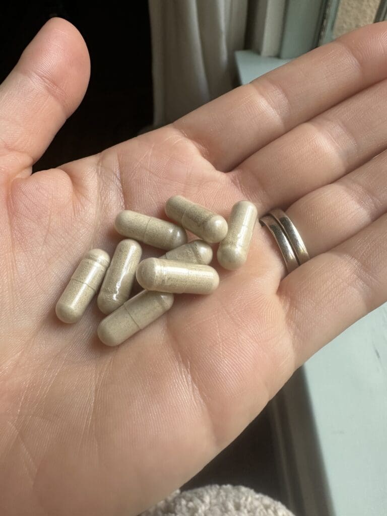 Need Iron Supplement Pills for Prengancy in Hand